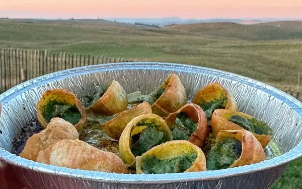 Escargots en cRoquilles au beurre persillé, 