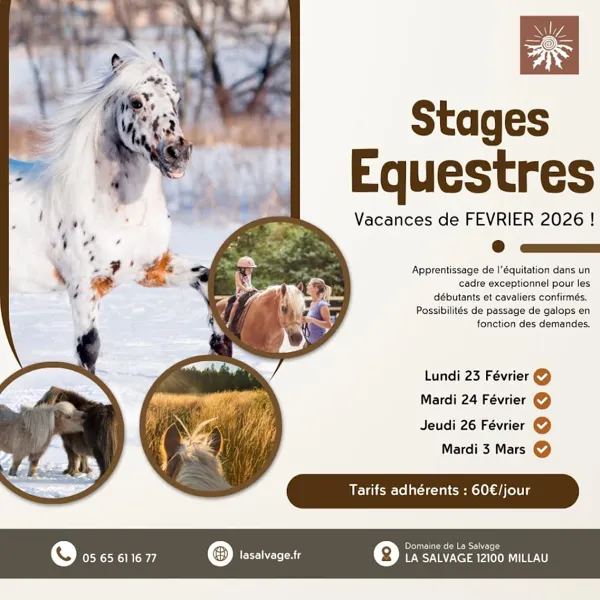 Stage d'équitation enfants / enfants et ados à la Salvage - Vacances de février