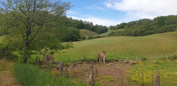 Notre Dame de Grâce, Office de Tourisme Pays du Roquefort