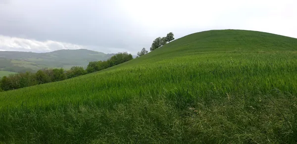 Notre Dame de Grâce, Office de Tourisme Pays du Roquefort