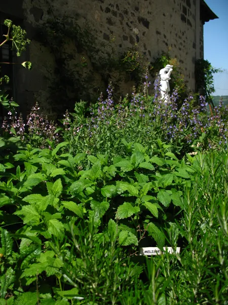Sentier de l'imaginaire : Brin d'Malice