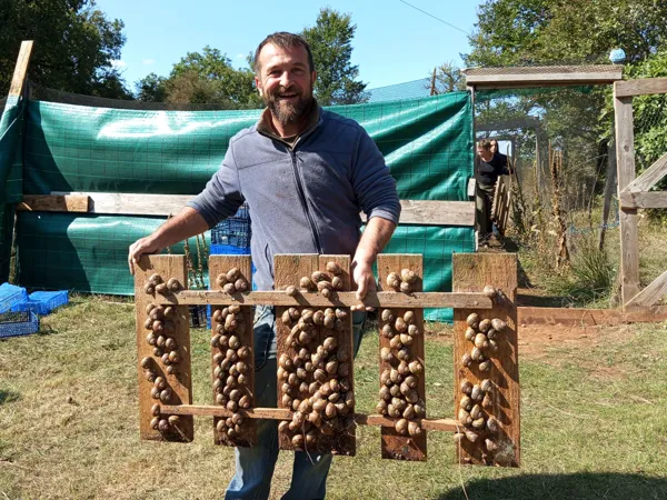 Ramassage des escargots, @L'Escargot du Campet