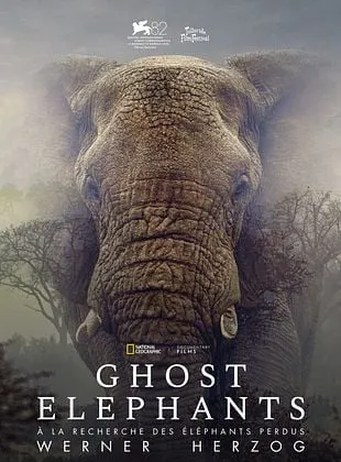 Cinéma :