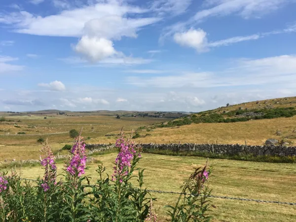 RANDONNEE LE GRAND GITE