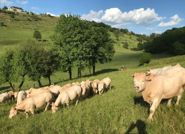 Ferme de Gandalou, Ferme de Gandalou
