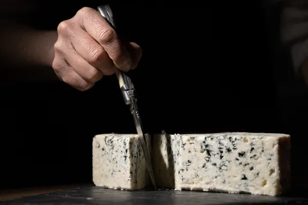 Ferme d'Alcas - visite / exposition - dégustation, Ferme d'Alcas