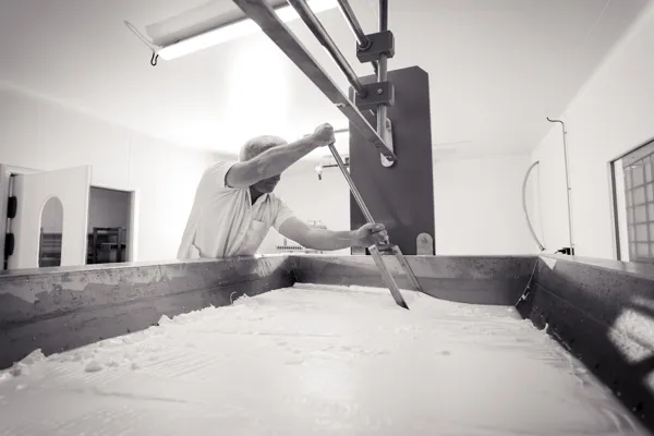 Ferme d'Alcas - visite / exposition - dégustation, Ferme d'Alcas