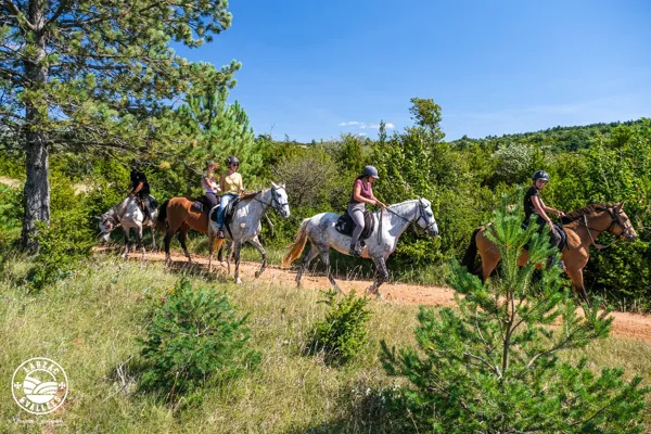 Domaine de Gaillac - balades à cheval, ©V. Govignon - OT Larzac et Vallées