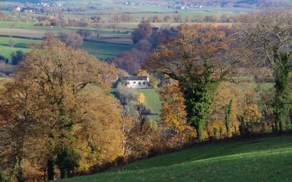 Vue sur paysage