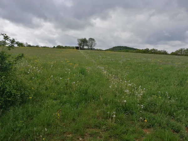 Trail d'Aqui - Bessuéjouls, Trail d'Aqui - Bessuéjouls