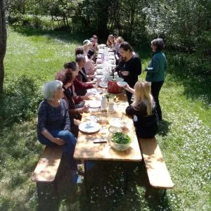 Stage Cuisine Sauvage : 50 Plantes de Printemps