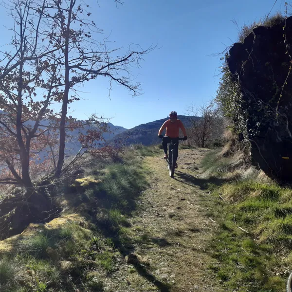 Location VTT Le Fel
