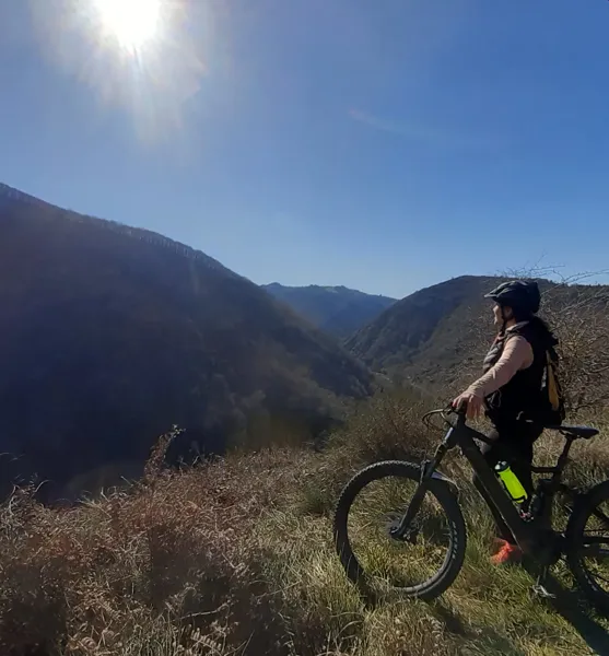 Location VTT Le Fel