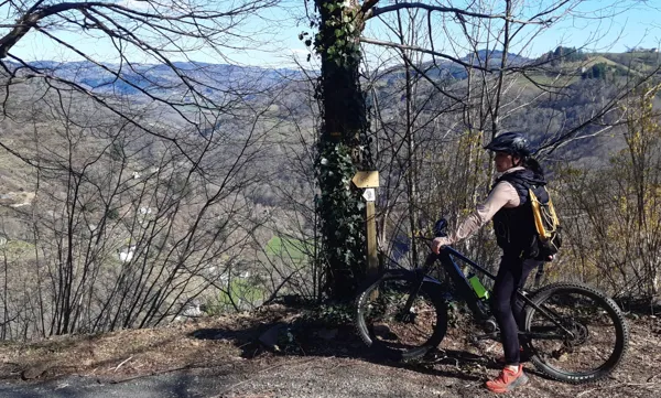 Location VTT Le Fel