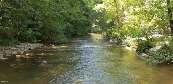 Versailles - au fil du Viaur, Edith Issalis