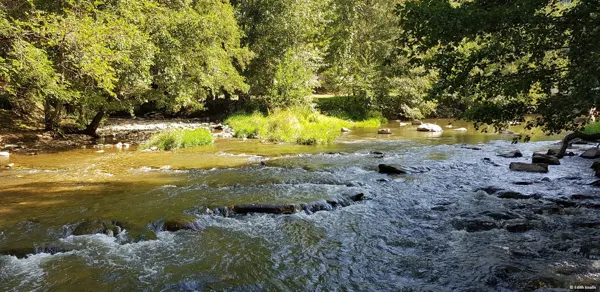 Versailles - sur le pont, Edith Issalis