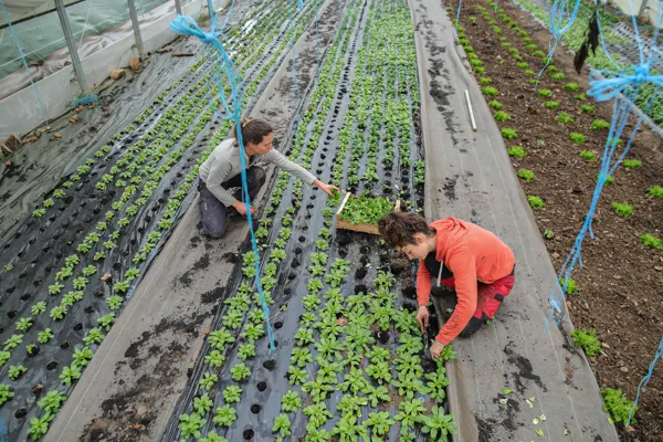 Portes ouvertes M'Bio Jardin