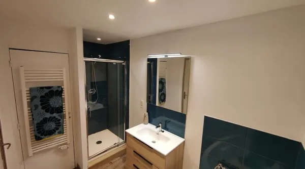 Salle de bain (Douche - Baignoire - Evier - Mirroir - Sèche-cheveux à disposition dans meuble - Gel douche et shampoing disponible)