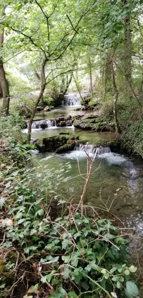 Balade de la cascade de Creissels (A seulement 15/20min à pieds du logement - Le départ se fait sur le grand parking à côté du logement)