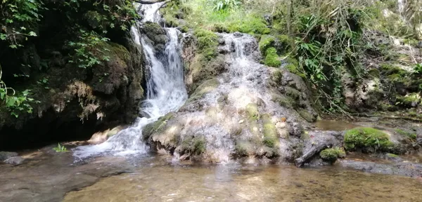 Balade de la cascade de Creissels (A seulement 15/20min à pieds du logement - Le départ se fait sur le grand parking à côté du logement)