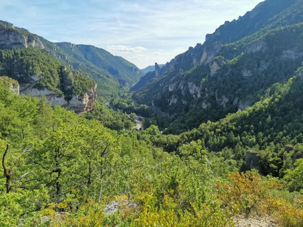 Randonnée du point sublime dans les gorges du Tarn(Compter 45min-1h en voiture pour se rendre au départ de la randonnée - Celle-ci grimpe beaucoup, il faut être à l'aise mais en vaut le détour, retour en boucle en passant par un petit village troglodyte - Si vous souhaitez la faire, n'hésitez pas à me demander des infos, ça sera avec plaisir)