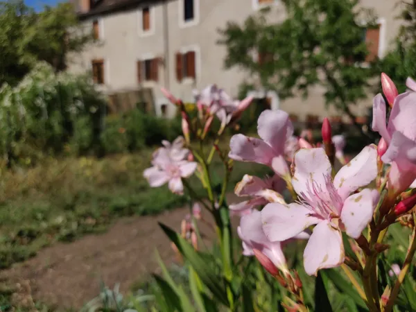 Jardin du Couvent de l'Union, GENiESE