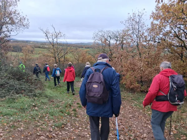 En marche vers le Vert Lavande !, vb