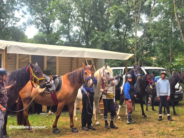 La tribu équestre en escale au Vert Lavande, vb
