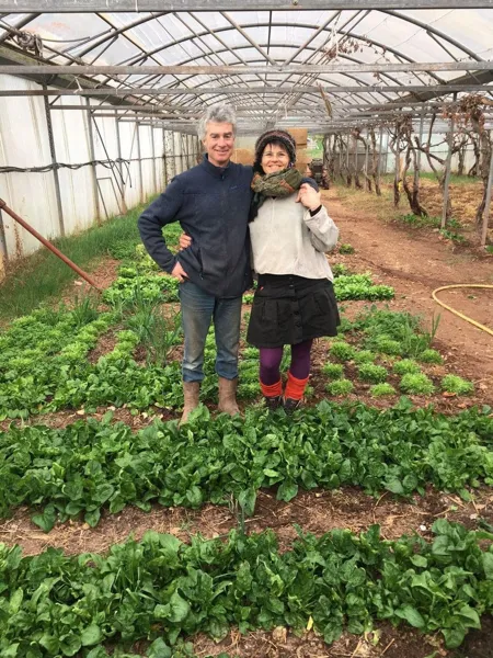 , ©Le Paillet du Coq