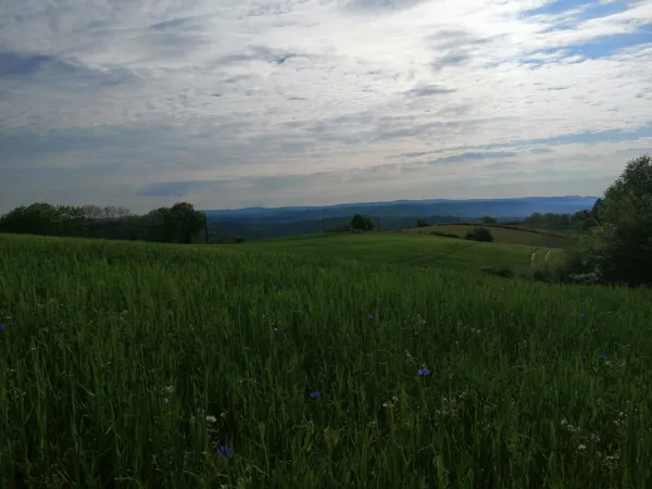 Trail d'Aqui - Parcours 3 Campuac, Trail d'Aqui