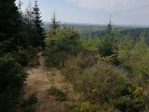 Trail d'Aqui - Parcours 3 Campuac, Trail d'Aqui