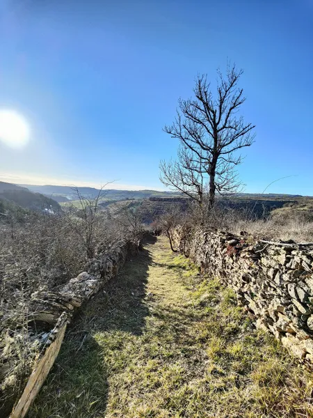 Trail d'Aqui - Parcours 4 Coubisou, Trail d'Aqui