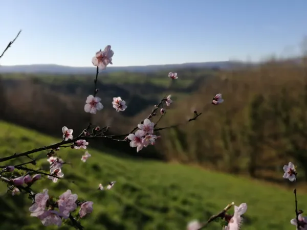 Trail d'Aqui - Parcours 4 Coubisou, Trail d'Aqui