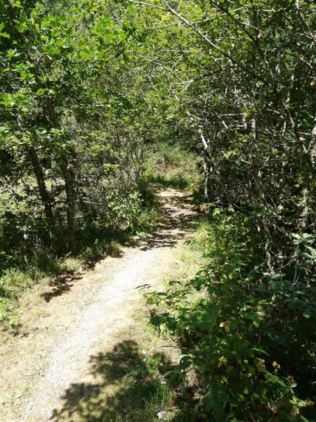 Sortie randonnée pédestre nocturne - Autour de Brommat