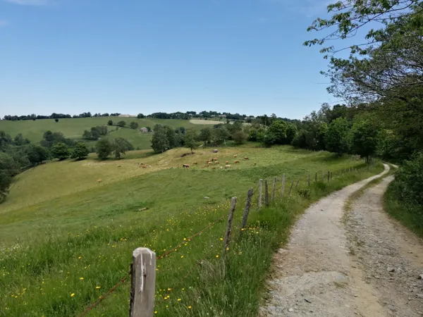 Trail d'Aqui Le Cayrol - Parcours 13, Trail d'Aqui Le Cayrol