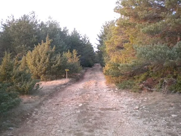 Chemin de randonnée