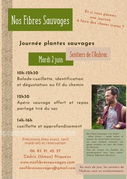 Sortie découverte des plantes sauvages comestibles