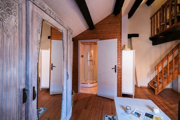 la salle de bain avec douche et lavabo