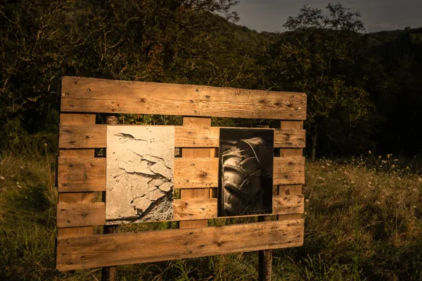 Expositions à Ciel Ouvert, La Guinguette chez Jaja