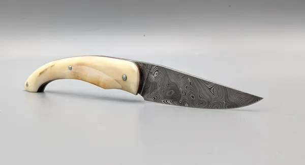 Du damas et du phacochère, 