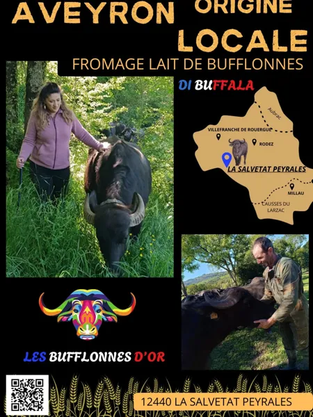 Les Bufflones d'Or