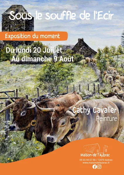 Exposition peintures : sous le souffle de l'écir - Cathy CAVALIER