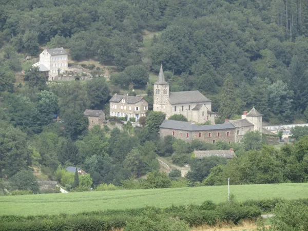 L'Olivier vue du village de ST just sur viaur, Barasc Alain