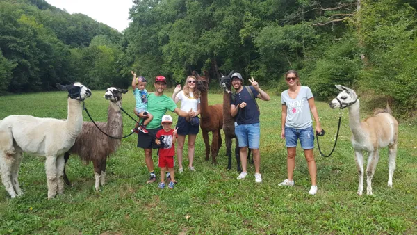 La Ferme des Andes - Balades avec des lamas