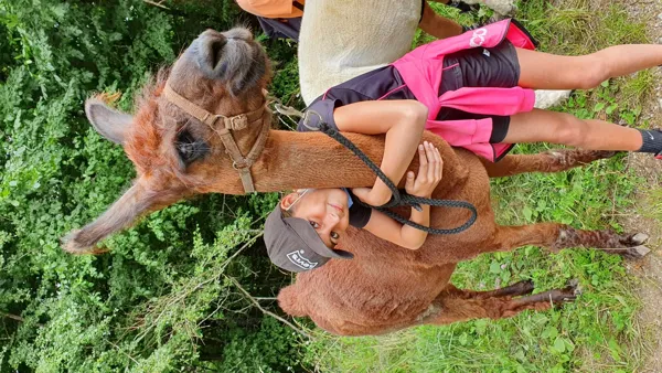 La Ferme des Andes - Balades avec des lamas