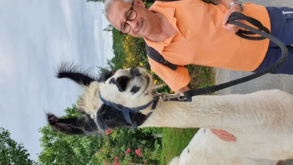 La Ferme des Andes - Balades avec des lamas