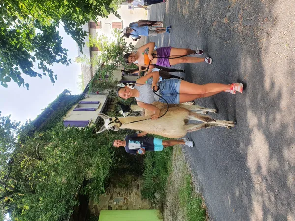 La Ferme des Andes - Balades avec des lamas