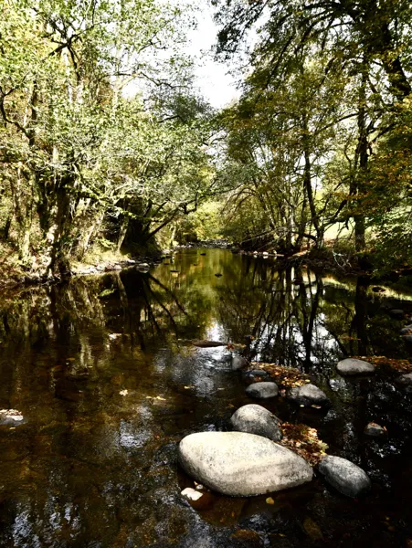 La rivière Le Brezons, K. Nootens