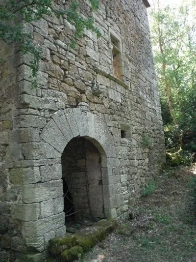 Capstyle, Capstylebois