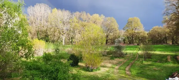 Le terrain autour du gîte.